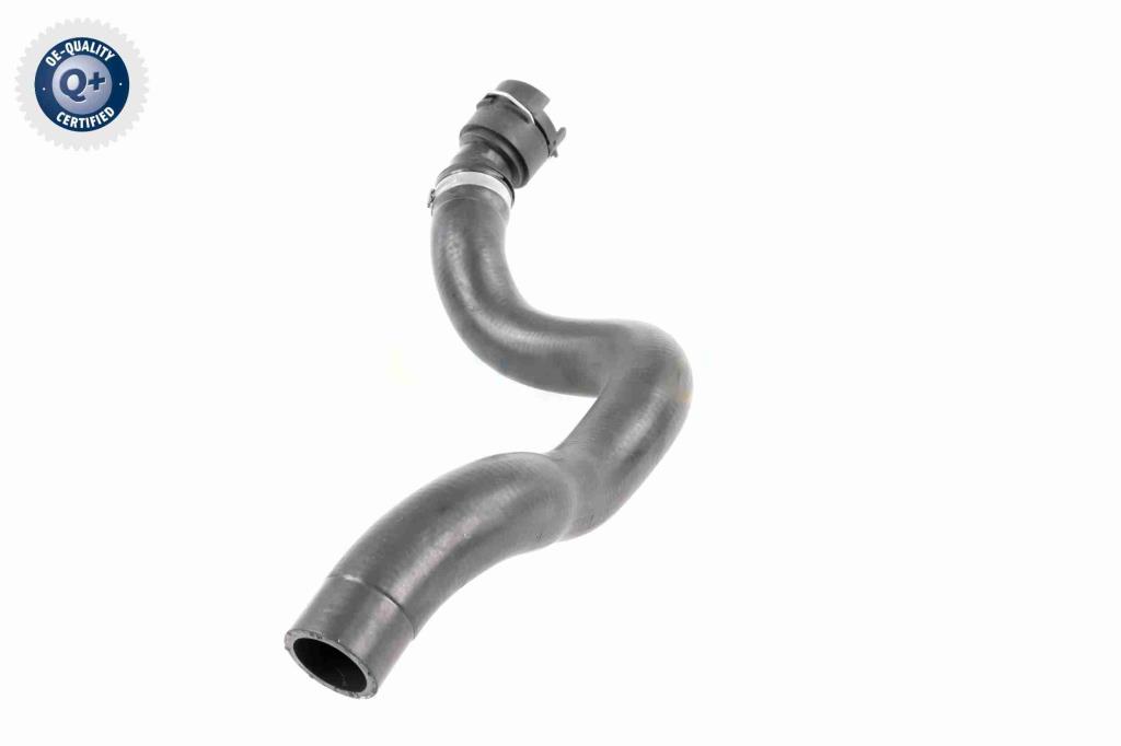 Durite de radiateur (Durite de refroidissement) VAICO ref. V25-1503
