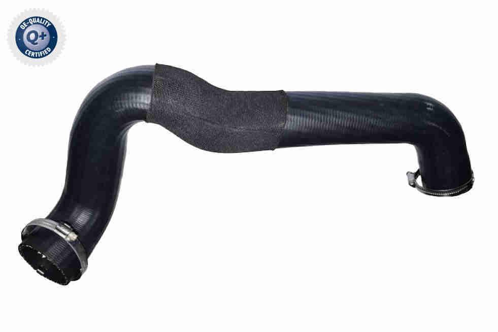Durite de turbocompresseur (Durite de turbo) VAICO V25-2561