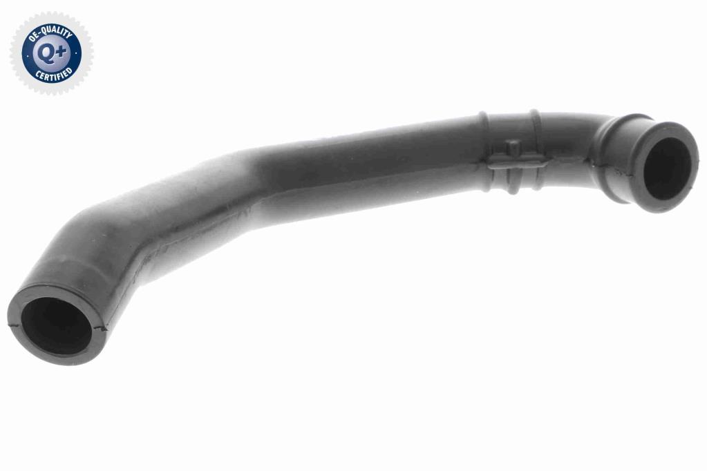 Butée hydraulique Coupé