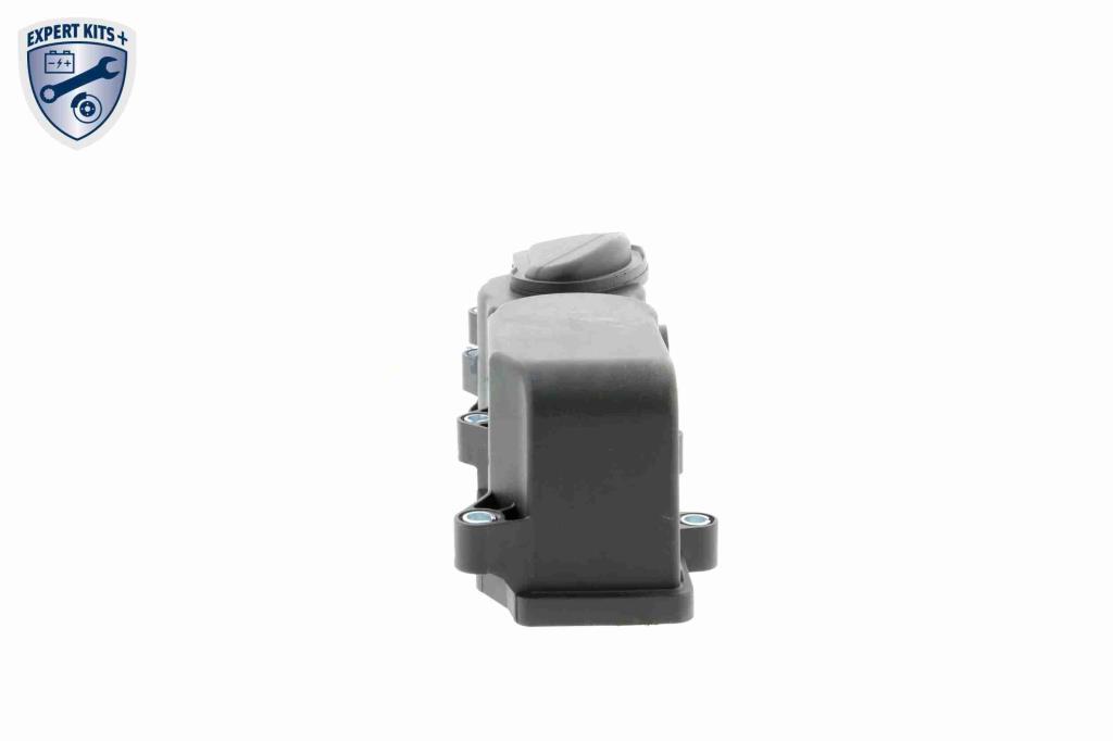 Separador de aceite, aireación cárter aceite VAICO ref. V30-2181