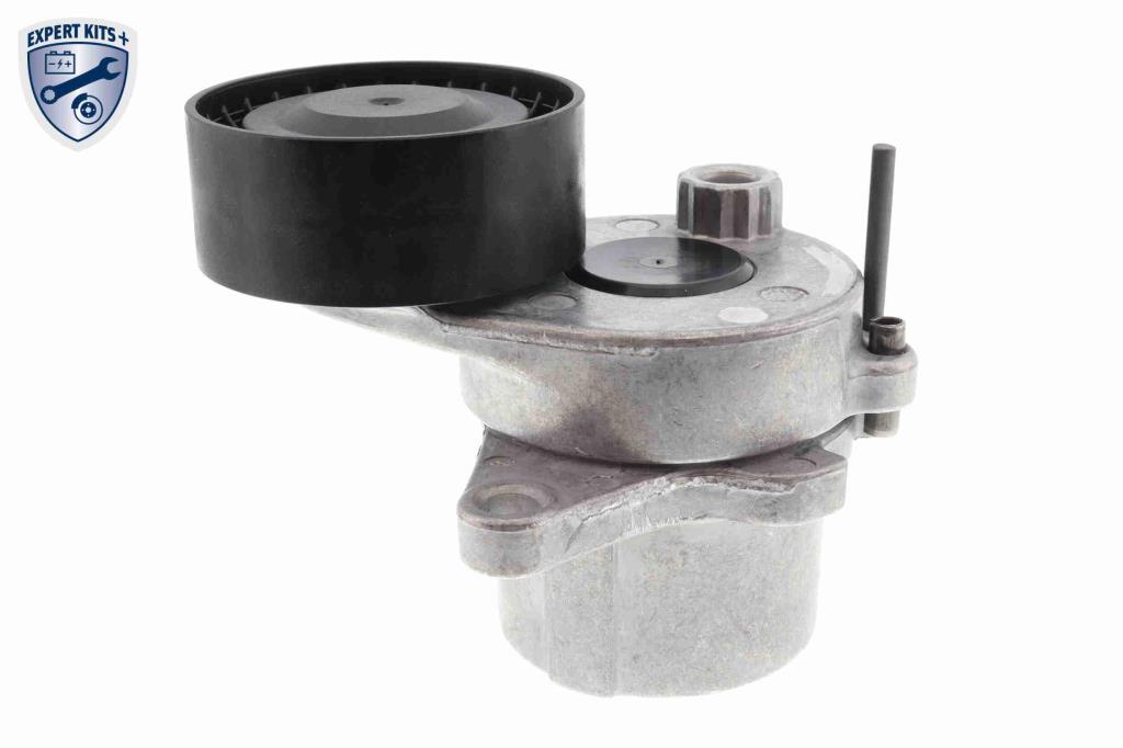 Pompe à eau+Jeu de courroie trapézoïdale à nervures (Pompe à eau et courroie accessoires) VAICO ref. V30-50109