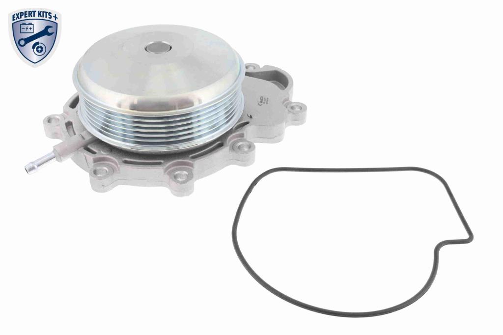 Pompe à eau+Jeu de courroie trapézoïdale à nervures (Pompe à eau et courroie accessoires) VAICO ref. V30-50109