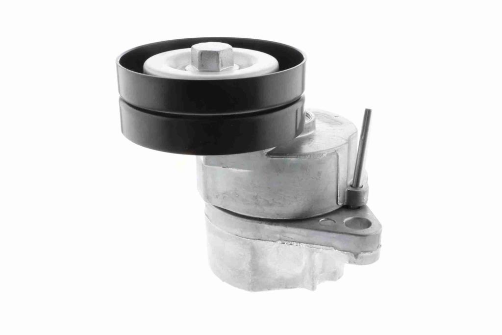 Tensor de correa, correa poli V VAICO V40-0097