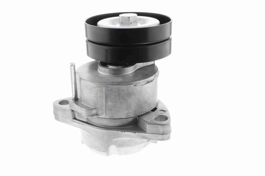 Tensor de correa, correa poli V VAICO V40-0097