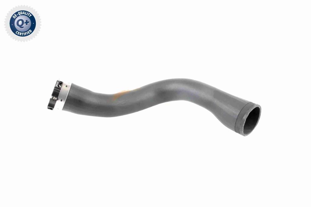Durite de turbocompresseur (Durite de turbo) VAICO V40-1364