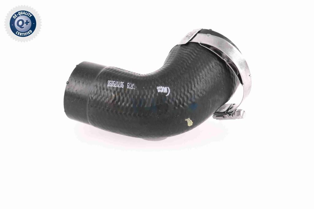 Durite de turbocompresseur (Durite de turbo) VAICO V40-1489
