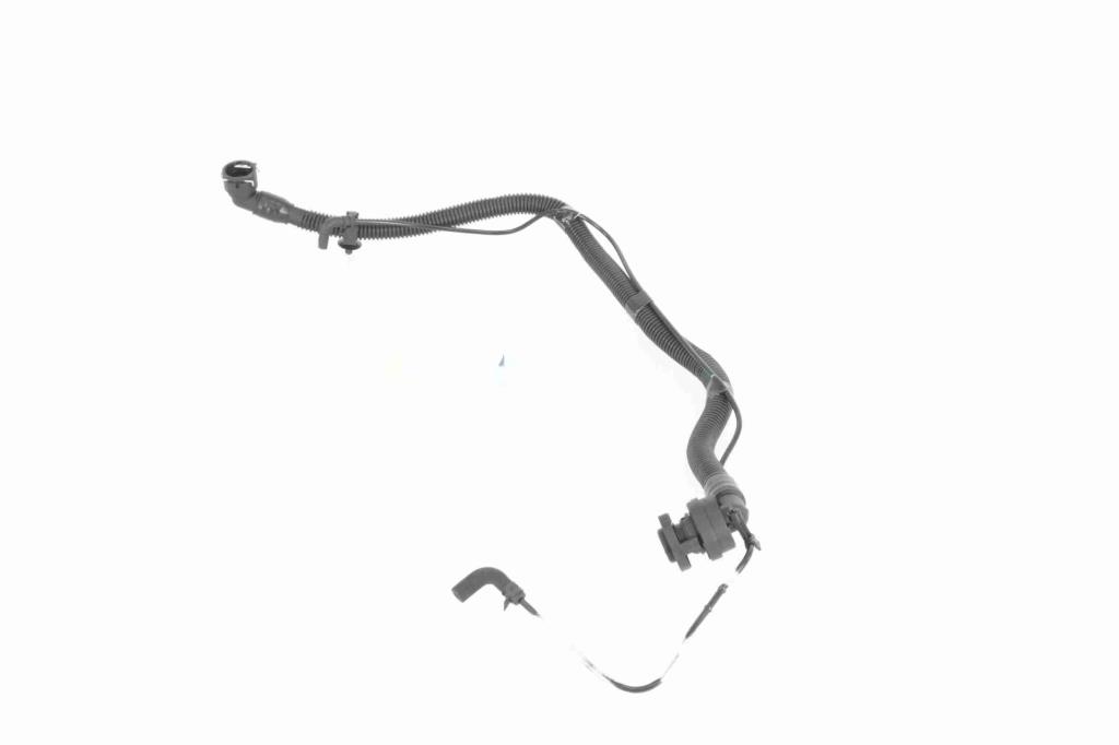 Tuyau, ventilation de carter-moteur (Tuyau de vapeur d'huile moteur) VAICO ref. V40-2287