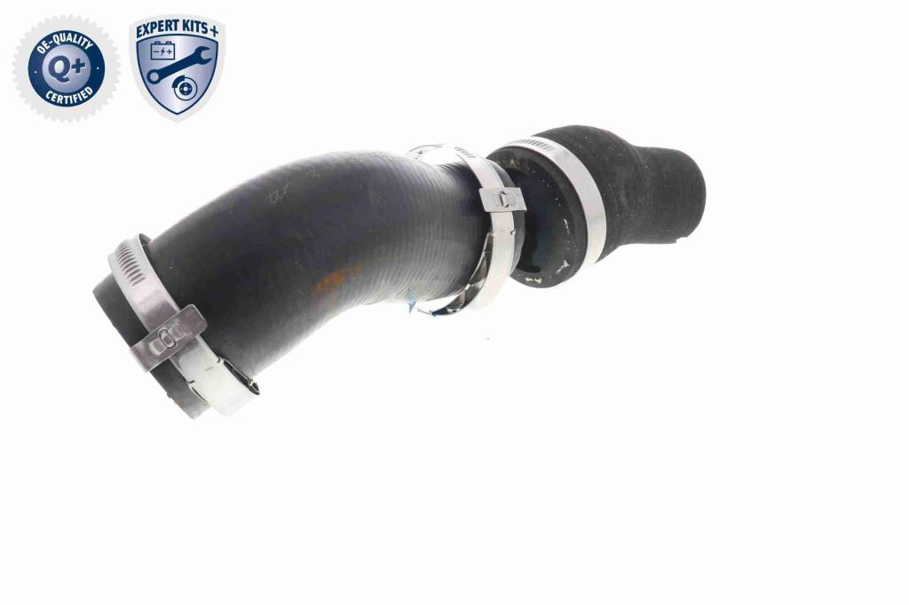 Durite de turbocompresseur (Durite de turbo) VAICO V42-0598