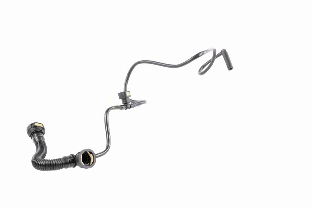 Tuyau, ventilation de carter-moteur (Tuyau de vapeur d'huile moteur) VAICO V42-0800