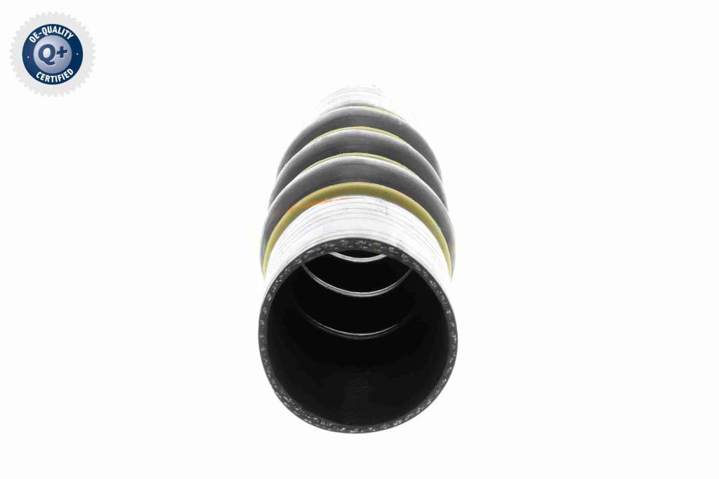 Durite de turbocompresseur (Durite de turbo) VAICO V42-0871