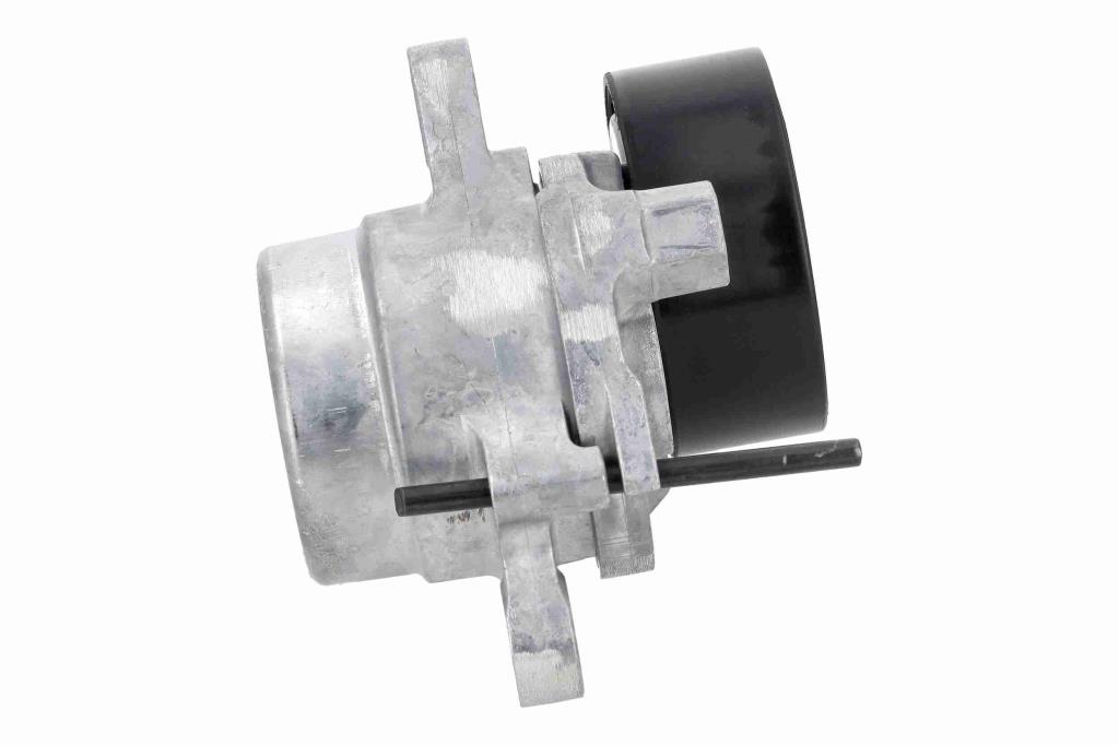 Tensor de correa, correa poli V VAICO V42-1075