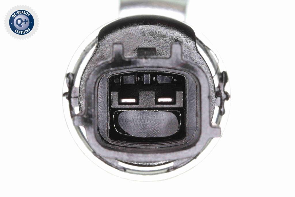 Tapón taladro tapa balancines VAICO ref. V46-1457