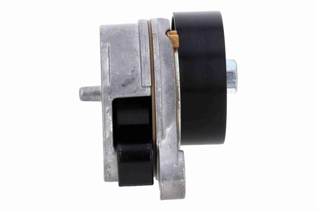 Tensor de correa, correa poli V VAICO V95-0637