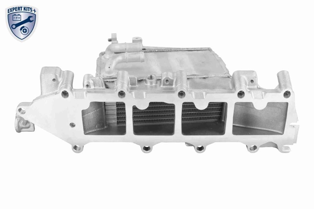 Radiador de admisión, intercooler VEMO ref. V10-60-0082