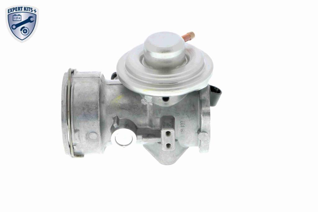 Válvula EGR VEMO V10-63-0024