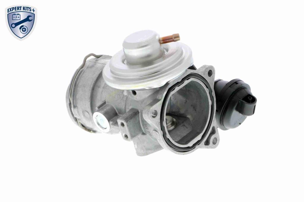 Válvula EGR VEMO V10-63-0024