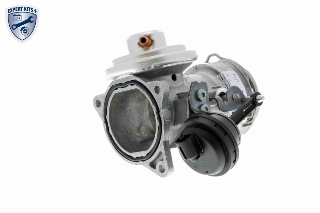 Válvula EGR VEMO V10-63-0024