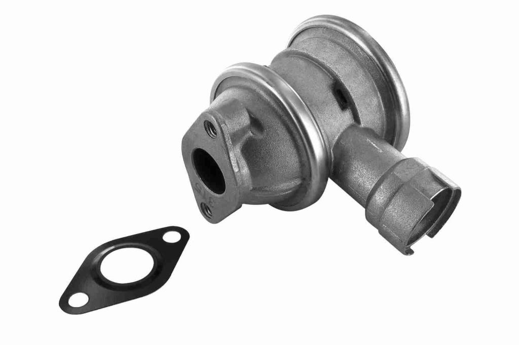 Butée hydraulique Coupé