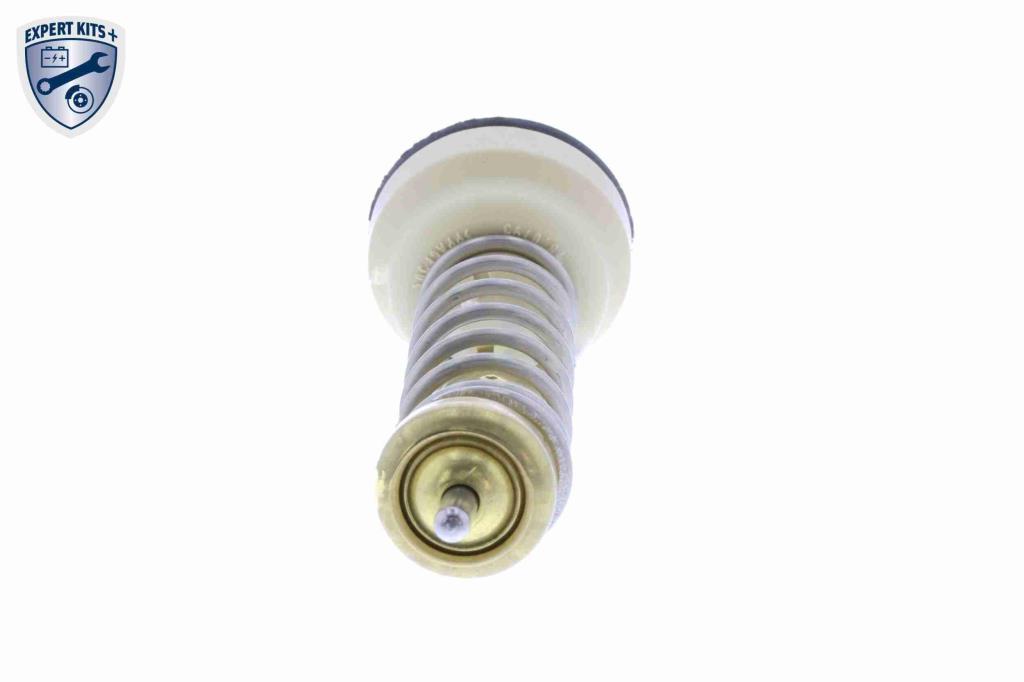 Thermostat d'eau (Calorstat) VEMO V10-99-0003