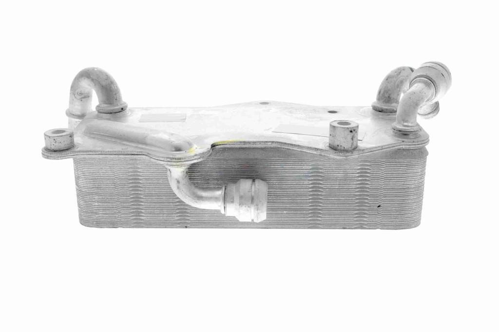 Radiateur d'huile moteur (Refroidisseur d'huile moteur) VEMO V15-60-0003