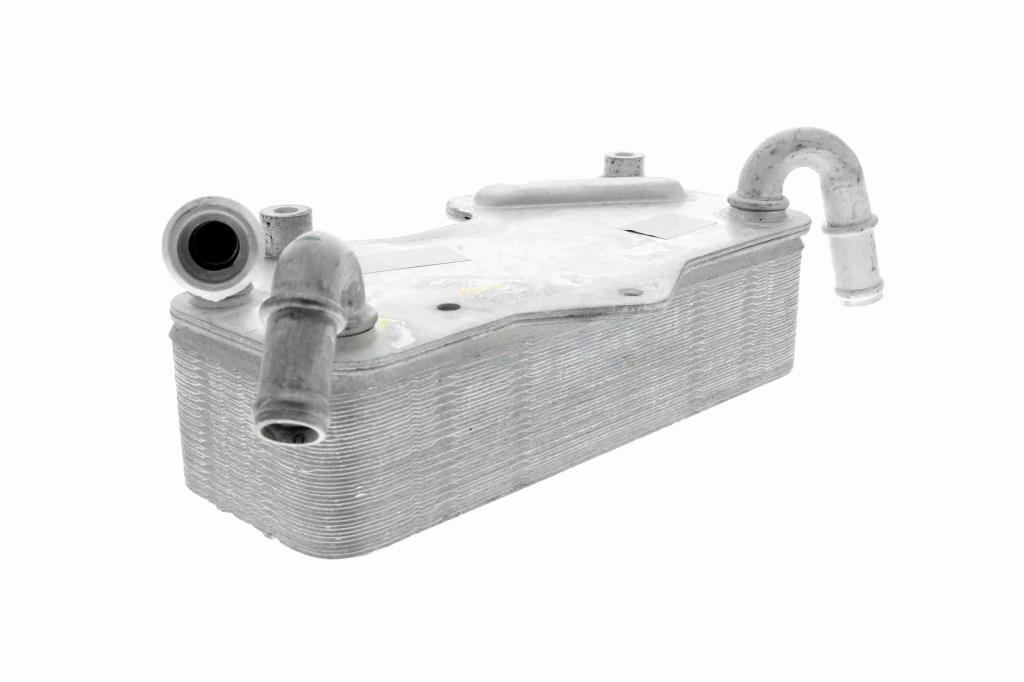 Radiateur d'huile moteur (Refroidisseur d'huile moteur) VEMO V15-60-0003