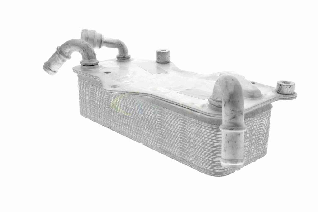 Radiateur d'huile moteur (Refroidisseur d'huile moteur) VEMO V15-60-0003