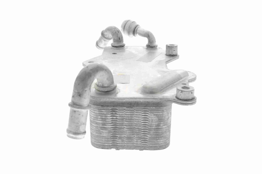 Radiateur d'huile moteur (Refroidisseur d'huile moteur) VEMO V15-60-0003