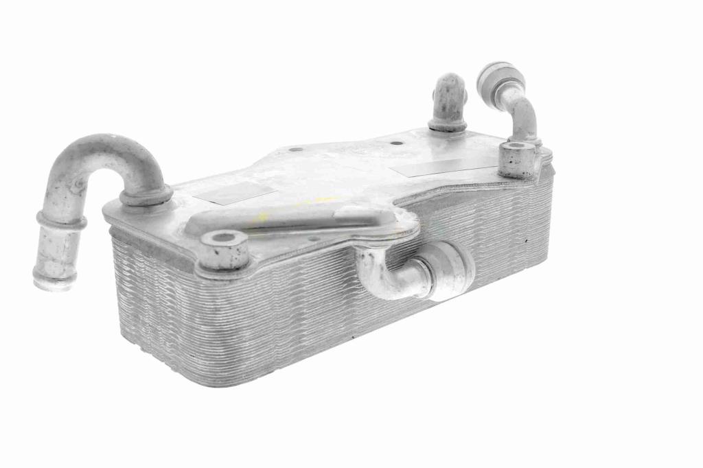 Radiateur d'huile moteur (Refroidisseur d'huile moteur) VEMO V15-60-0003