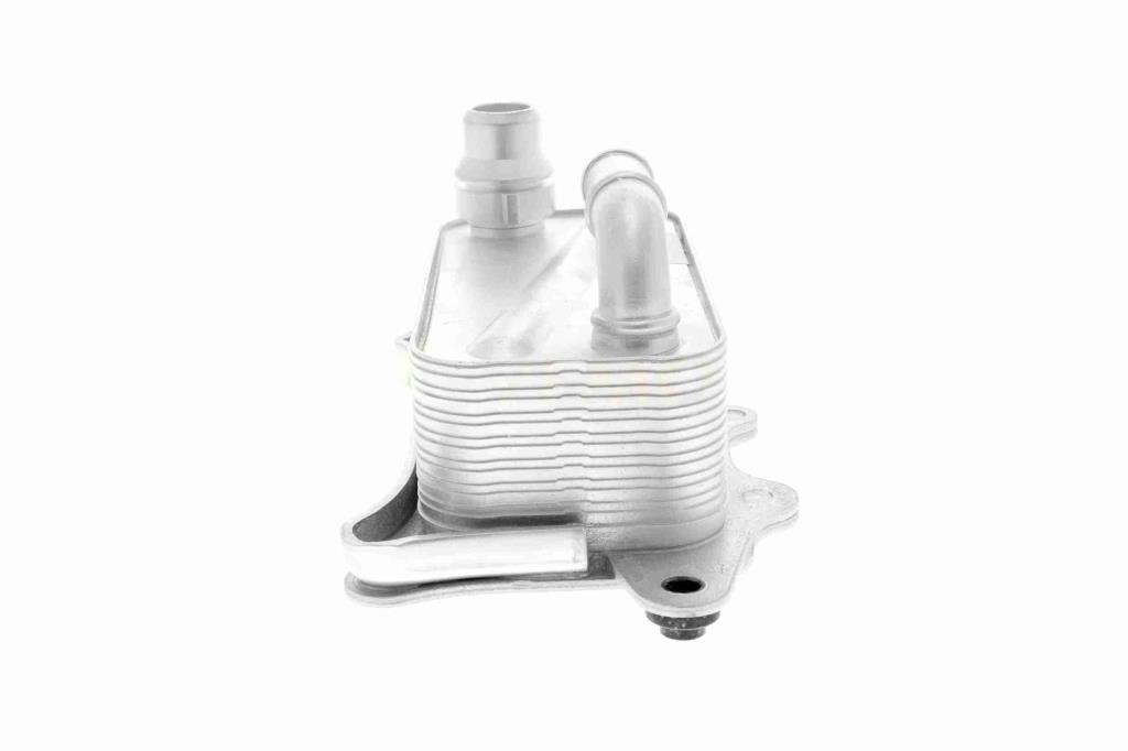 Radiateur d'huile moteur (Refroidisseur d'huile moteur) VEMO V15-60-0012