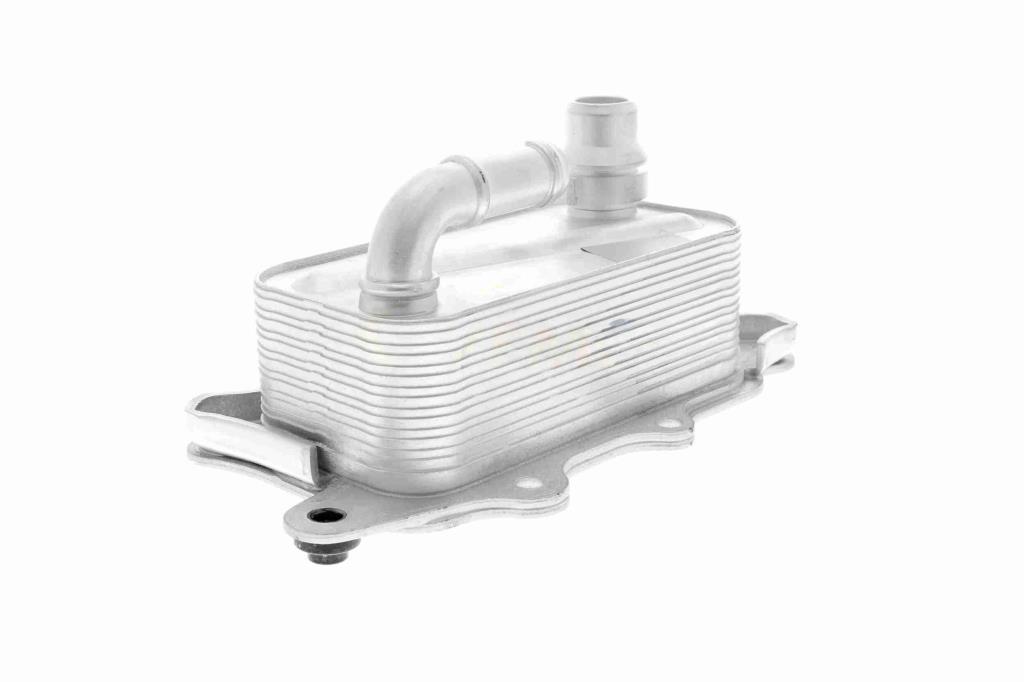 Radiateur d'huile moteur (Refroidisseur d'huile moteur) VEMO V15-60-0012