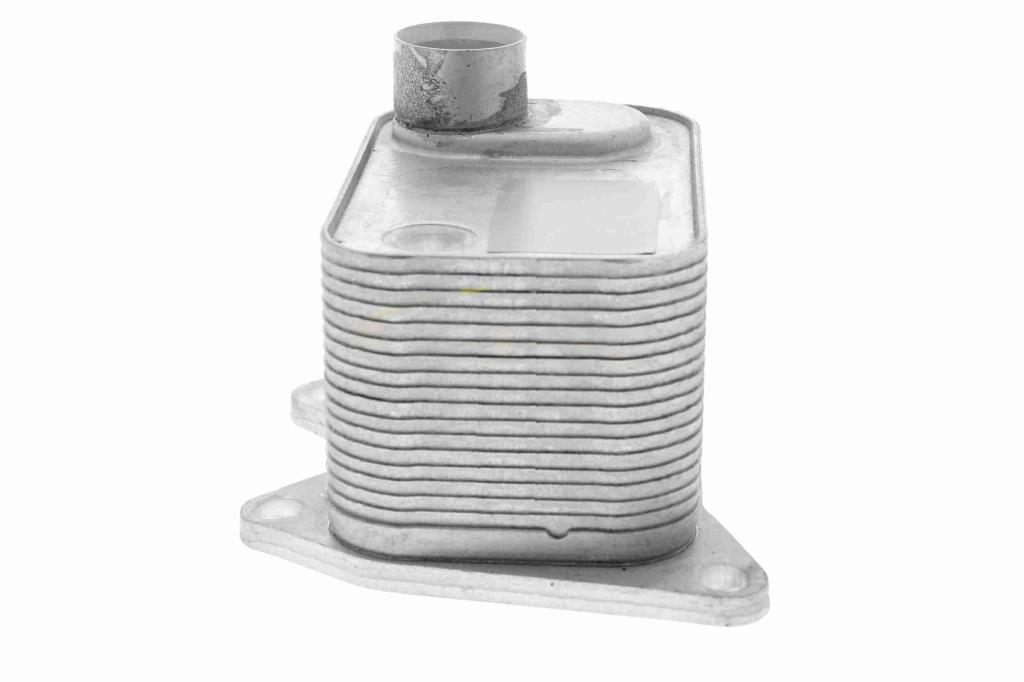 Radiateur d'huile moteur (Refroidisseur d'huile moteur) VEMO V15-60-0015