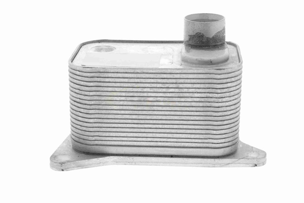Radiateur d'huile moteur (Refroidisseur d'huile moteur) VEMO V15-60-0015