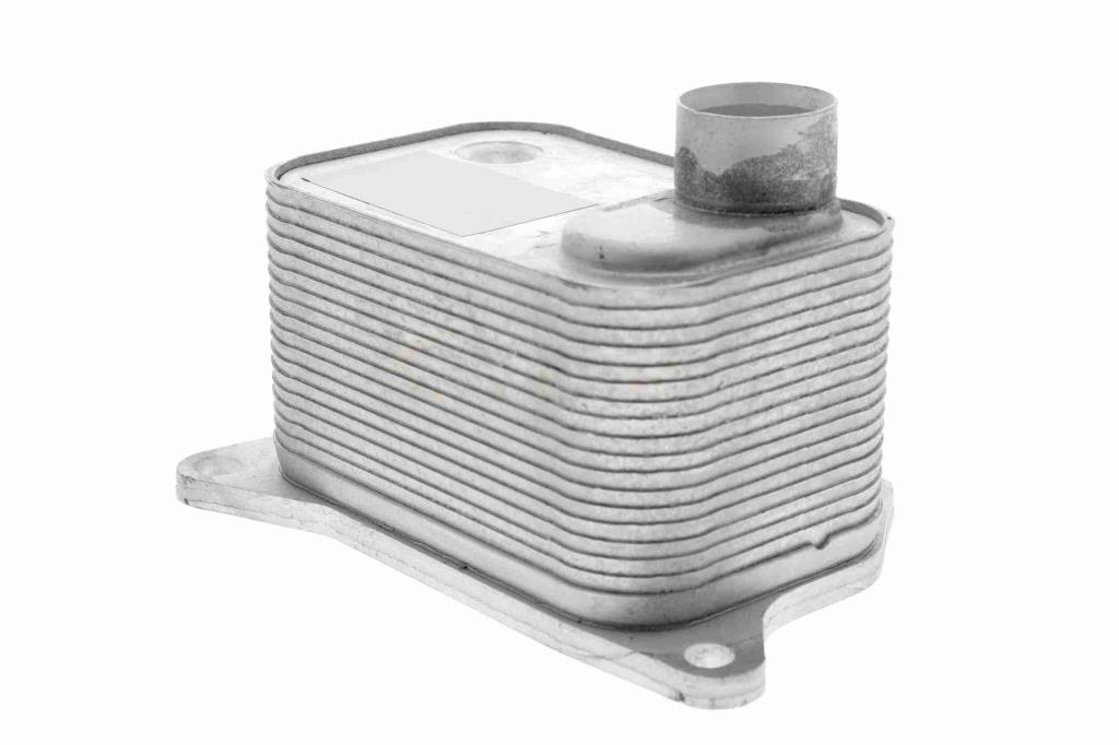 Radiateur d'huile moteur (Refroidisseur d'huile moteur) VEMO V15-60-0015