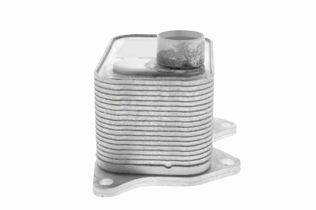 Radiateur d'huile moteur (Refroidisseur d'huile moteur) VEMO V15-60-0015