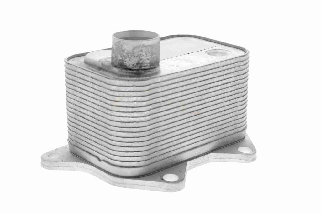 Radiateur d'huile moteur (Refroidisseur d'huile moteur) VEMO V15-60-0015
