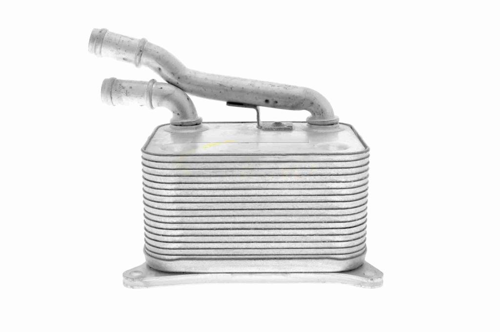 Radiateur d'huile moteur (Refroidisseur d'huile moteur) VEMO V15-60-0017