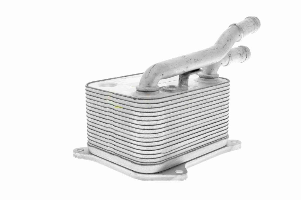 Radiateur d'huile moteur (Refroidisseur d'huile moteur) VEMO V15-60-0017