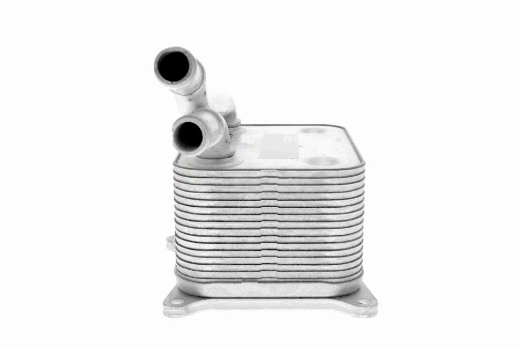 Radiateur d'huile moteur (Refroidisseur d'huile moteur) VEMO V15-60-0017