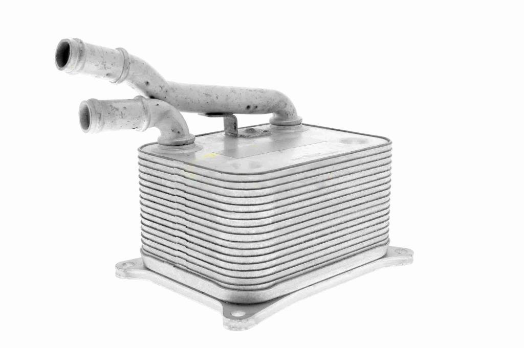 Radiateur d'huile moteur (Refroidisseur d'huile moteur) VEMO V15-60-0017