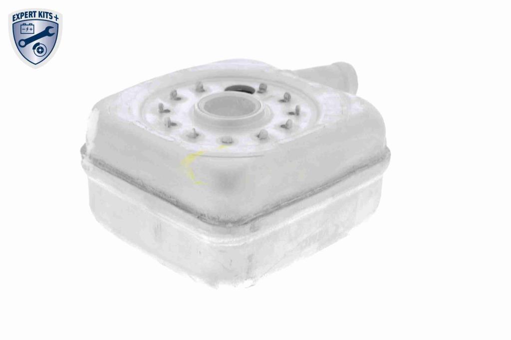 Radiateur d'huile moteur (Refroidisseur d'huile moteur) VEMO V15-60-6011