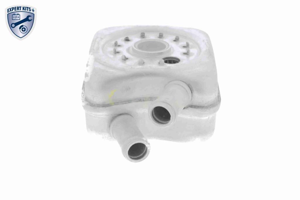 Radiateur d'huile moteur (Refroidisseur d'huile moteur) VEMO V15-60-6011