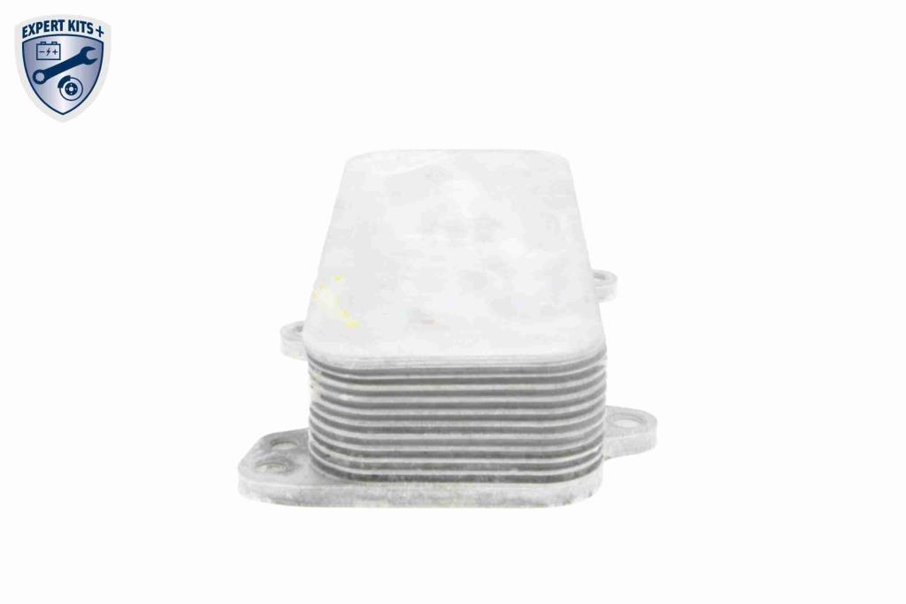 Radiateur d'huile moteur (Refroidisseur d'huile moteur) VEMO V15-60-6017