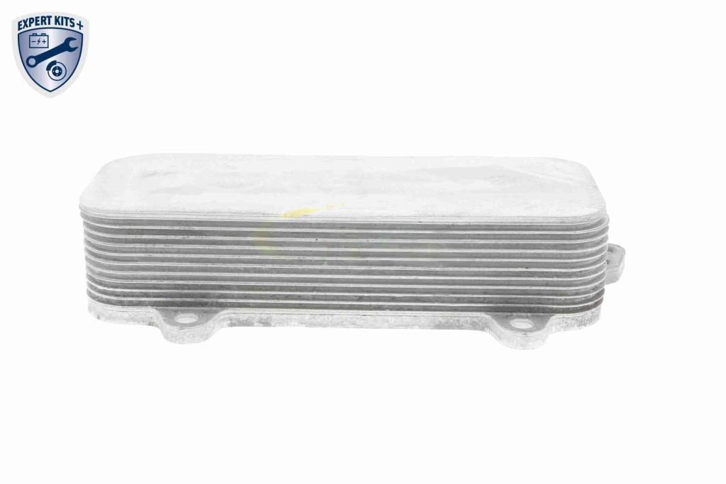 Radiateur d'huile moteur (Refroidisseur d'huile moteur) VEMO V15-60-6017