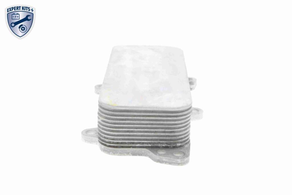 Radiateur d'huile moteur (Refroidisseur d'huile moteur) VEMO V15-60-6017