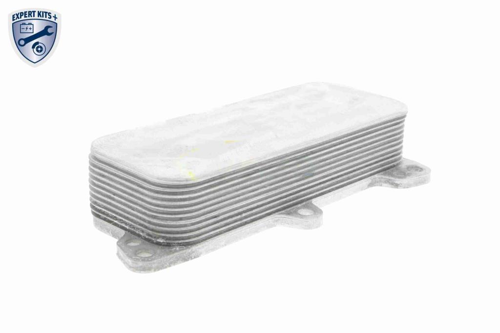 Radiateur d'huile moteur (Refroidisseur d'huile moteur) VEMO V15-60-6017