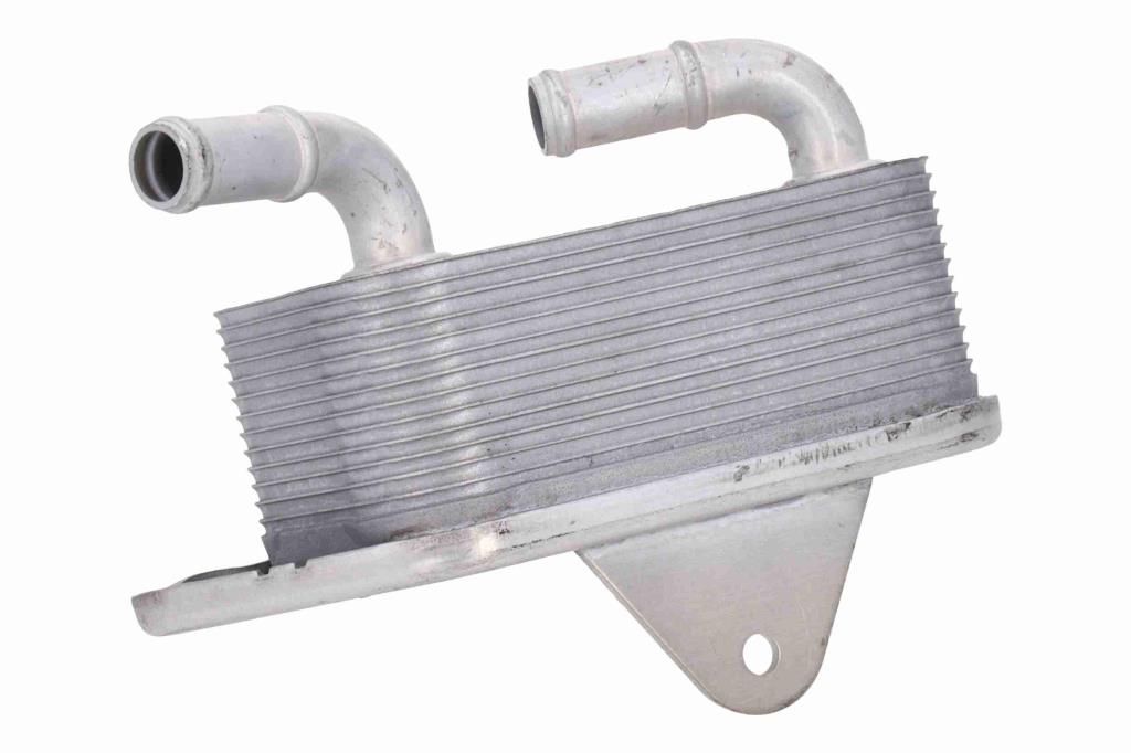 Radiateur d'huile moteur (Refroidisseur d'huile moteur) VEMO V15-60-6019