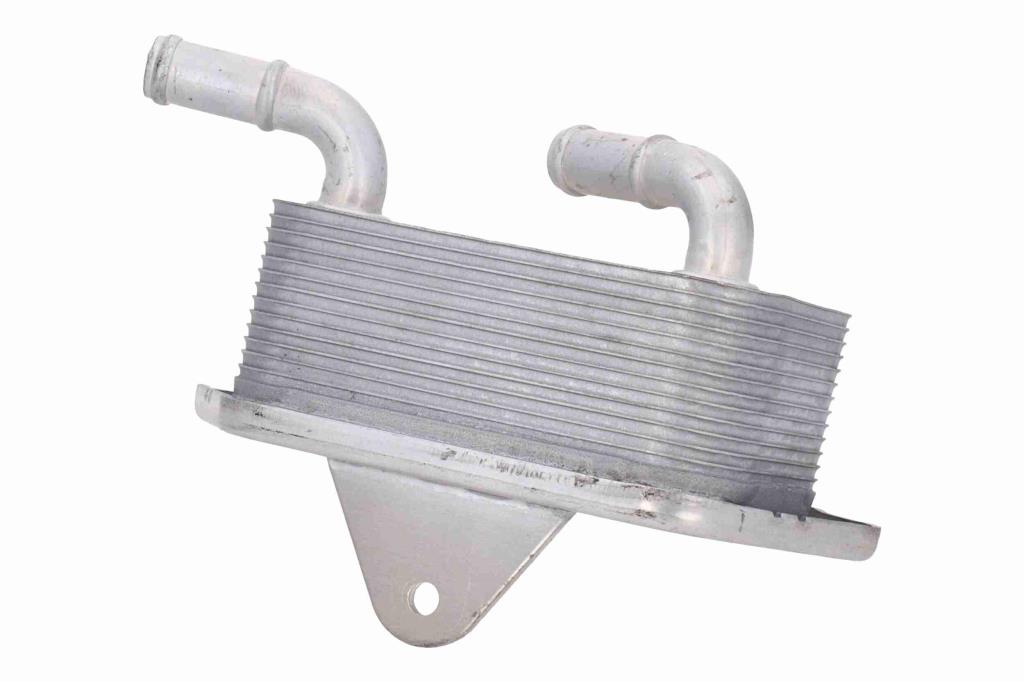 Radiateur d'huile moteur (Refroidisseur d'huile moteur) VEMO V15-60-6019