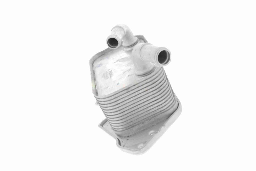 Radiateur d'huile moteur (Refroidisseur d'huile moteur) VEMO V15-60-6019