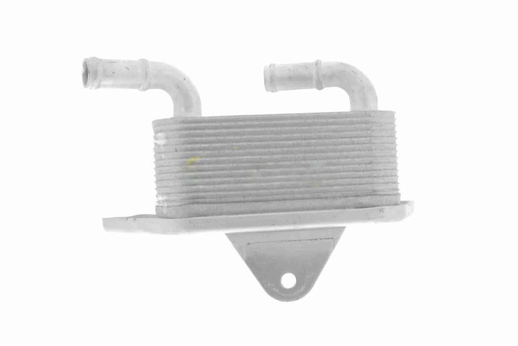 Radiateur d'huile moteur (Refroidisseur d'huile moteur) VEMO V15-60-6019
