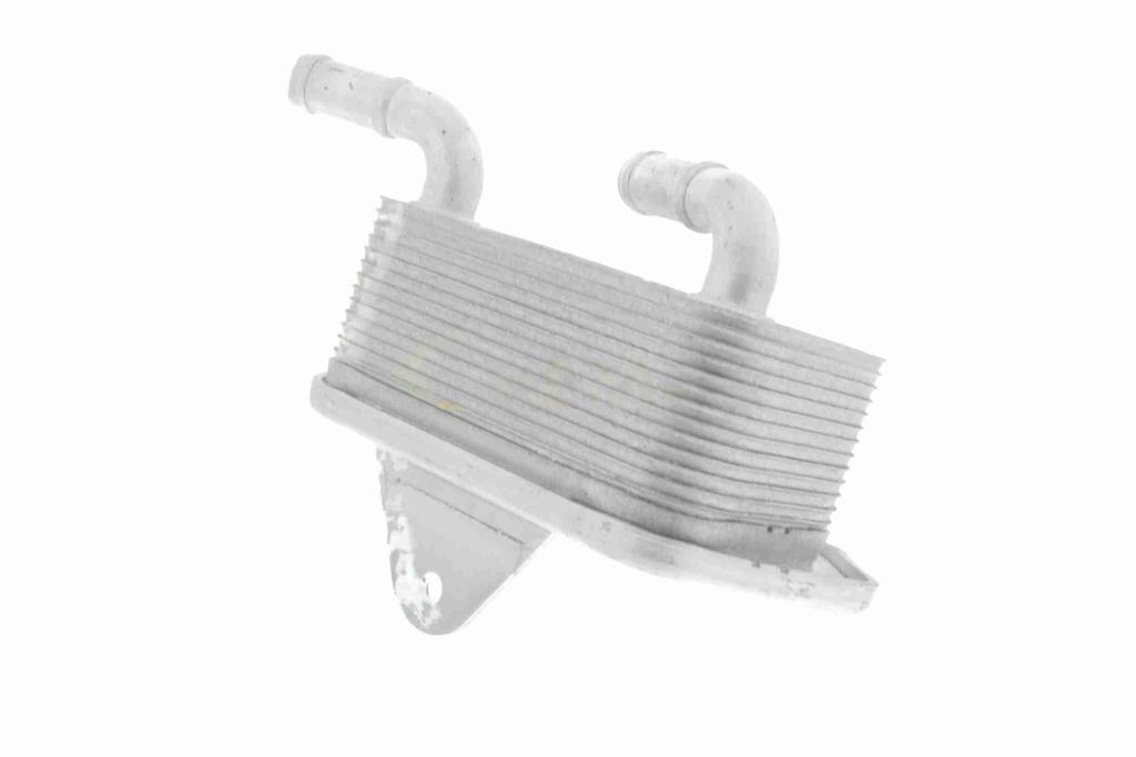 Radiateur d'huile moteur (Refroidisseur d'huile moteur) VEMO V15-60-6019